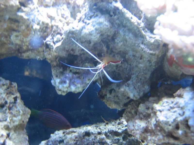 Tankupdate1-16-07002.jpg
