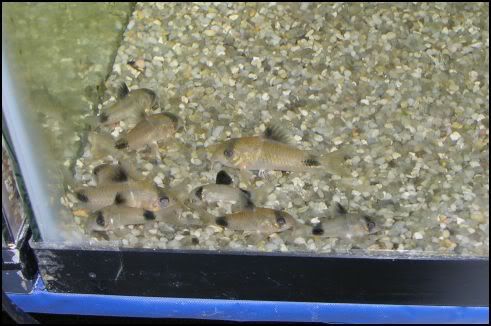 spawninggroup1.jpg