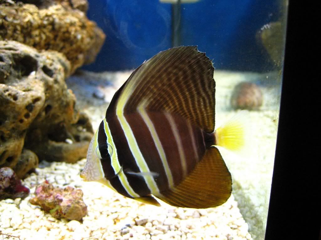 IMG_0587.jpg