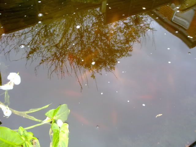 25122011793.jpg