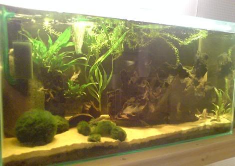 25g.jpg