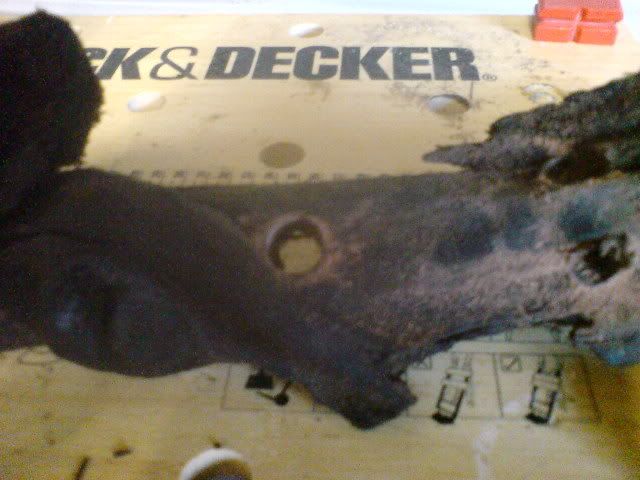 DSC01078.jpg