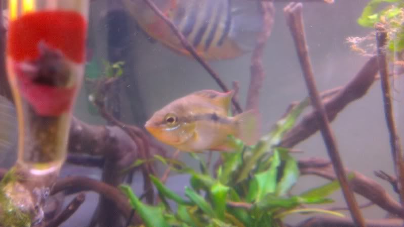 IMAG0055-2.jpg
