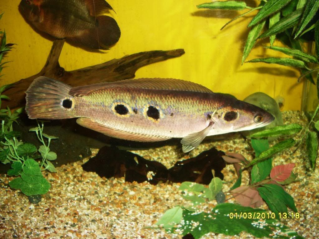 march2010085.jpg