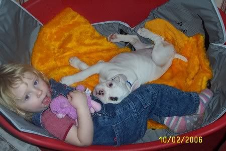Picture055.jpg