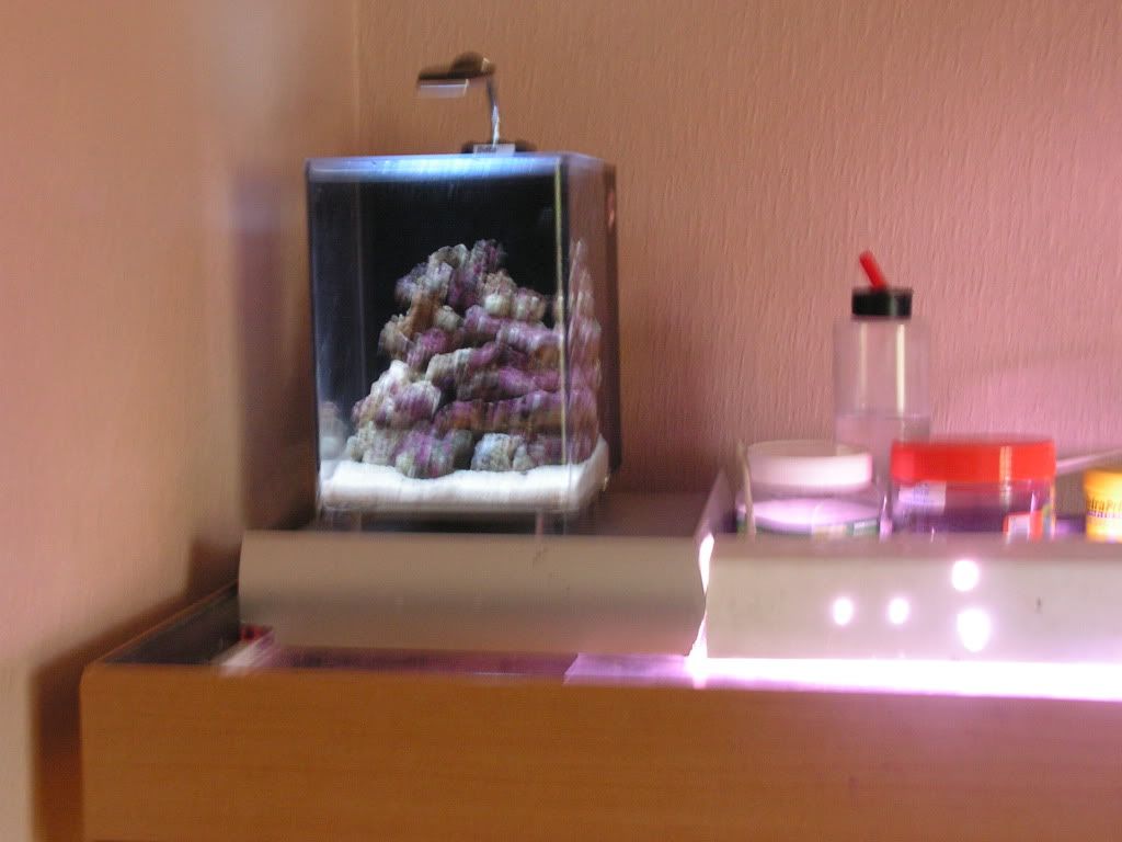 PICT0938-1.jpg