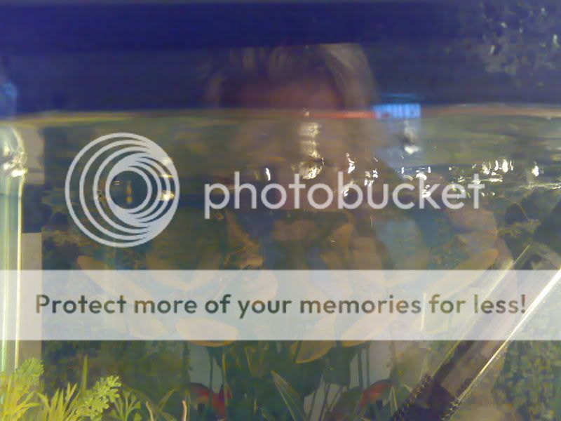 20092007659.jpg