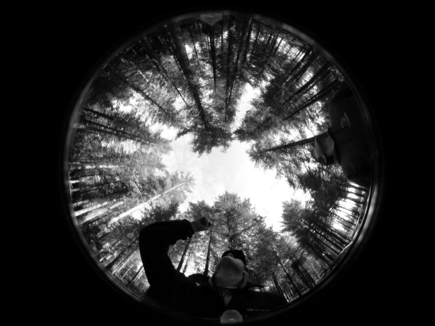 DSCN2195.jpg