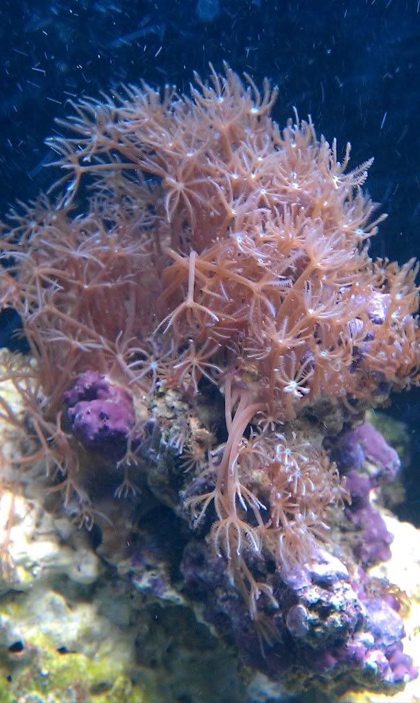 IMAG0114.jpg