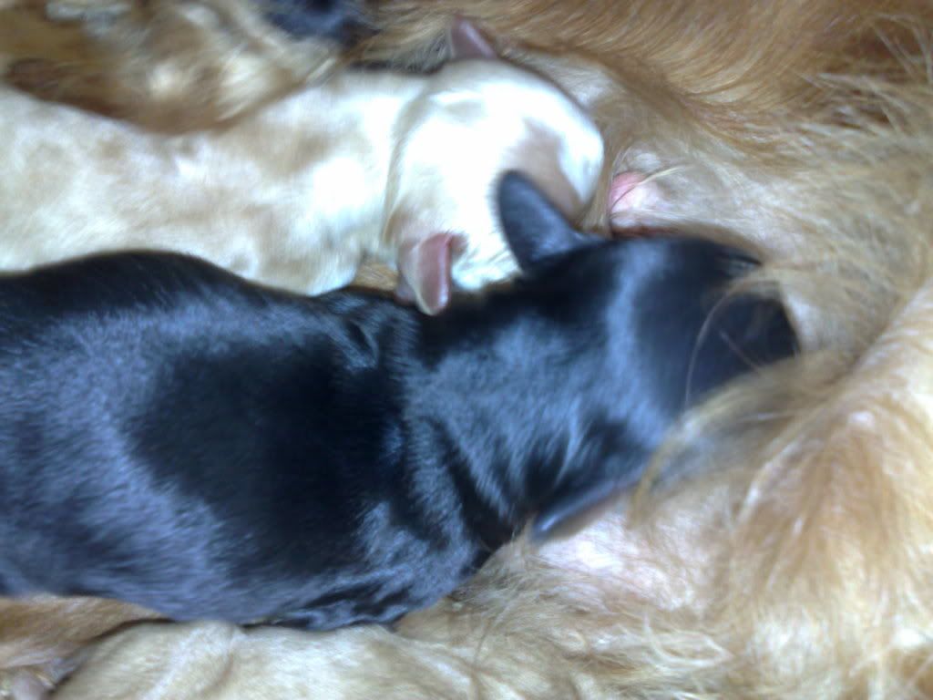 2008-09-05_16-02-08_05092008037.jpg