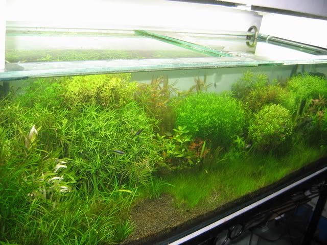 Picture050-1.jpg