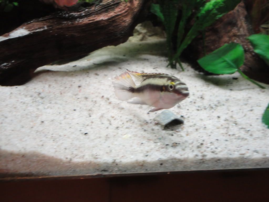DSC00399.jpg