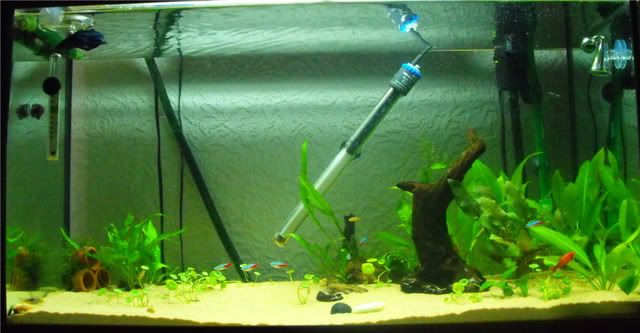 2010_0710tank0002.jpg