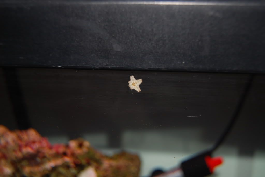 DSC_0687.jpg