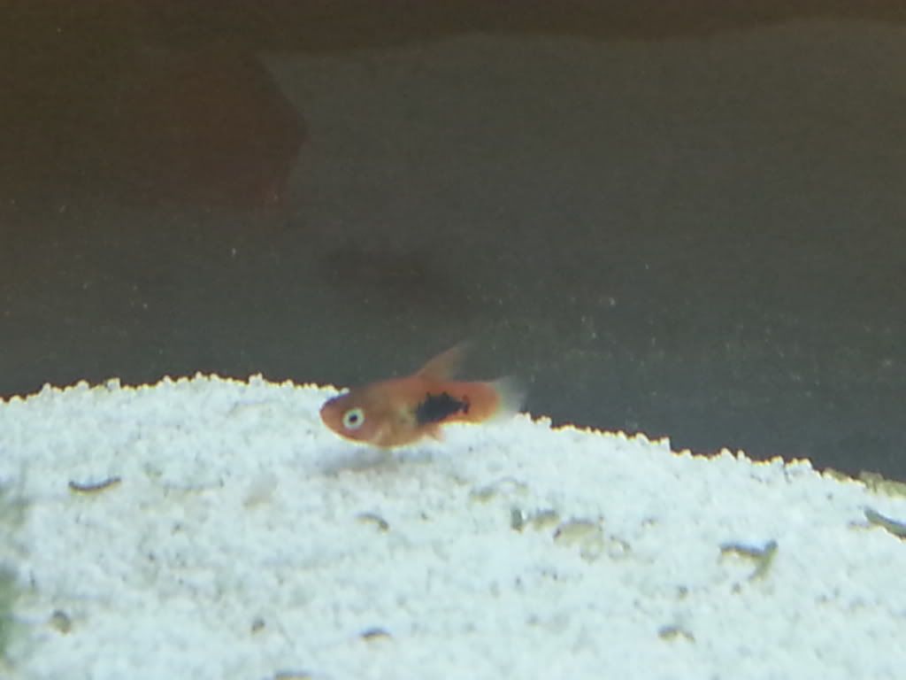20130926_111342_zps9a095fde.jpg