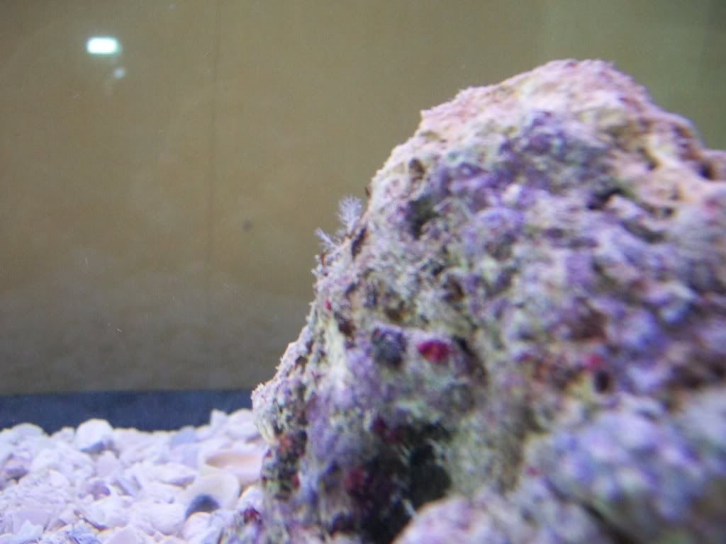 100_0653.jpg