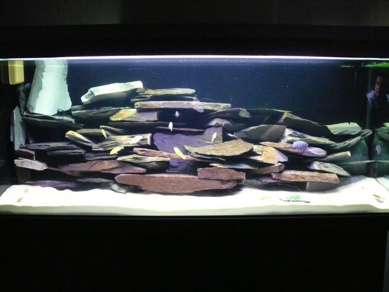 P1010222-2.jpg
