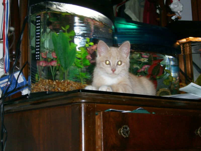 ImportedPhotos00007.jpg
