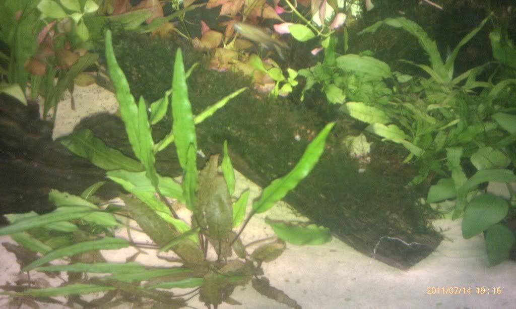 IMAG0125.jpg