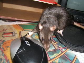 DSCF2476.jpg