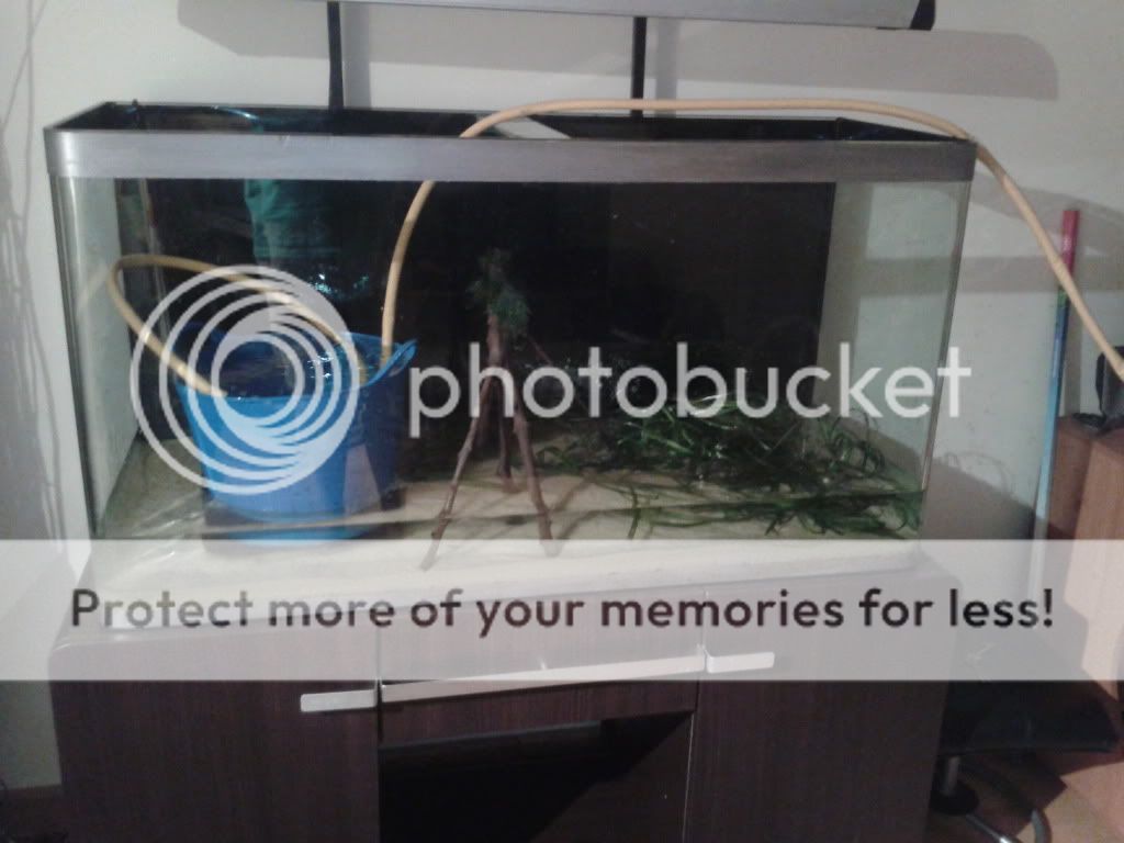 2011-08-16223234.jpg