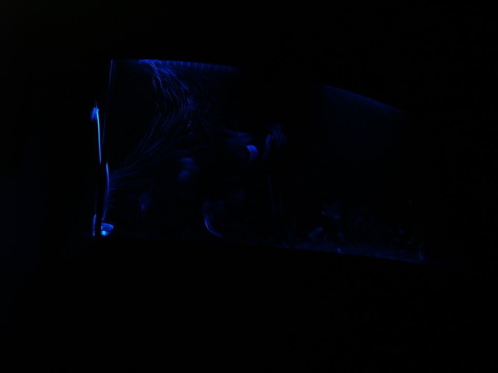 IMAG0002-4.jpg