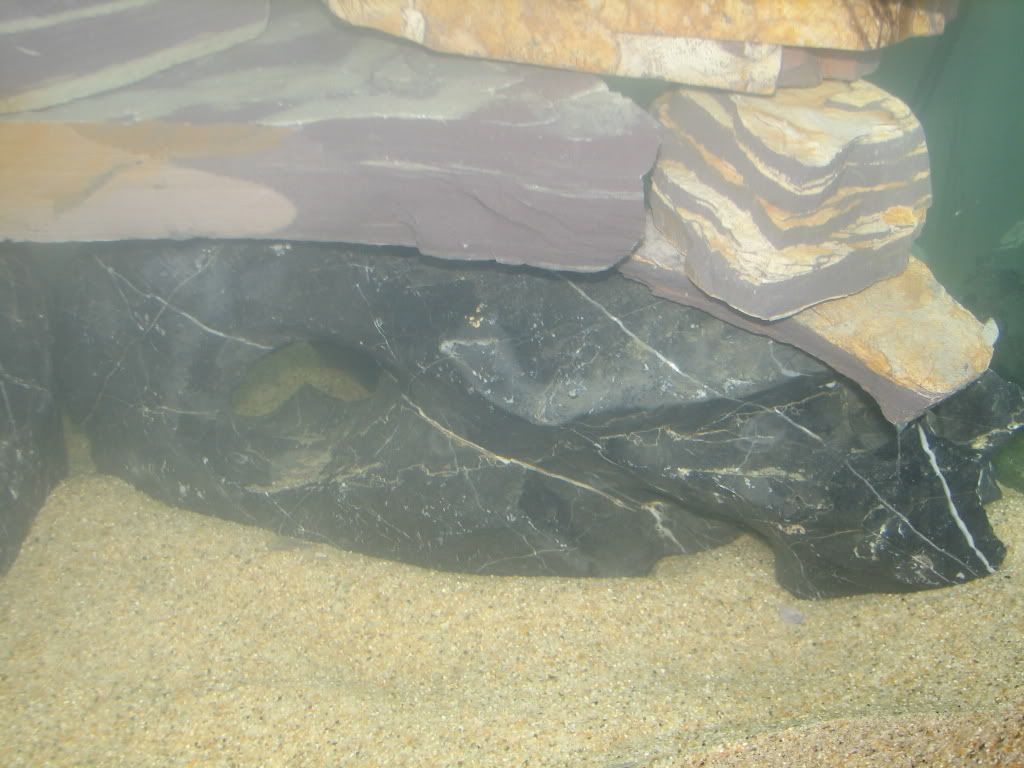 FishTank004.jpg
