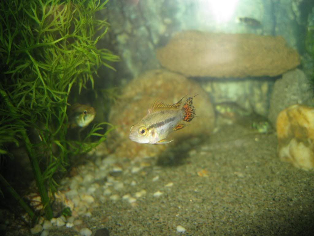 IMG_5500.jpg