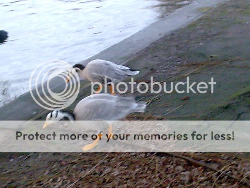 Image018.jpg