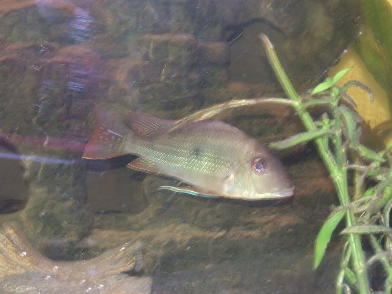 DSCF3104.jpg
