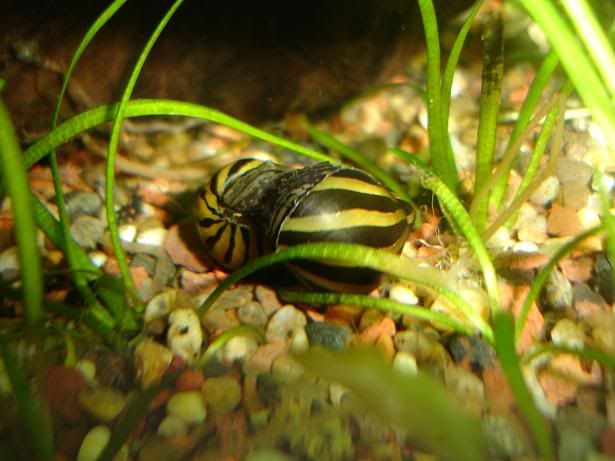 d75c6c1c.jpg