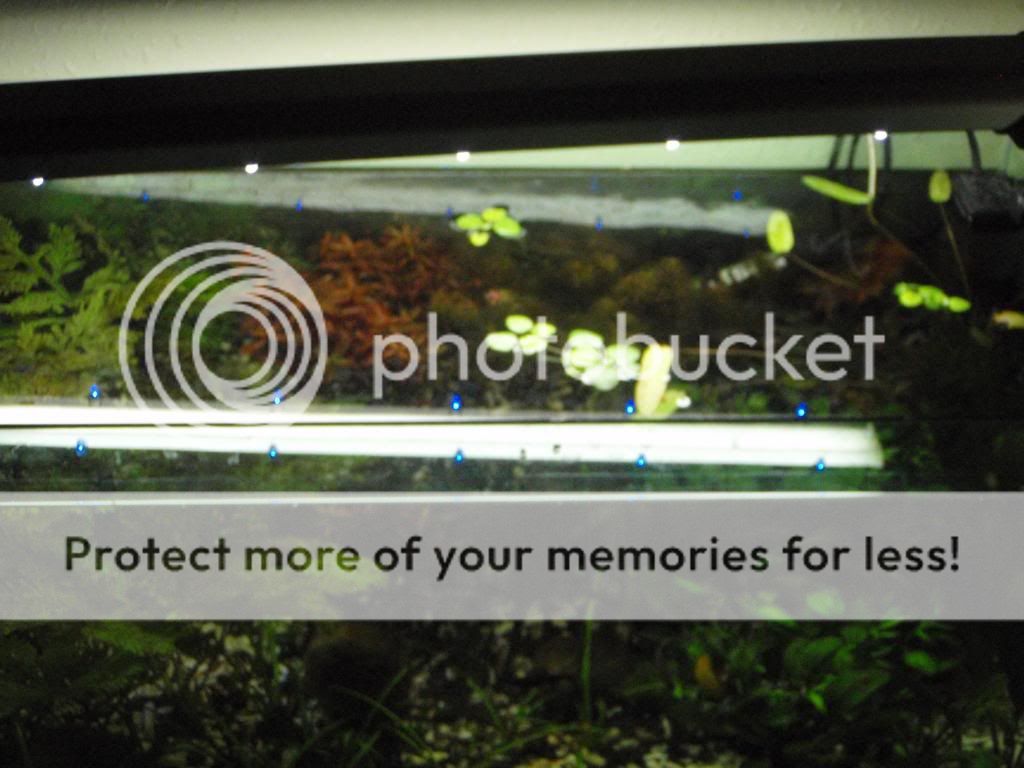 PB280207.jpg