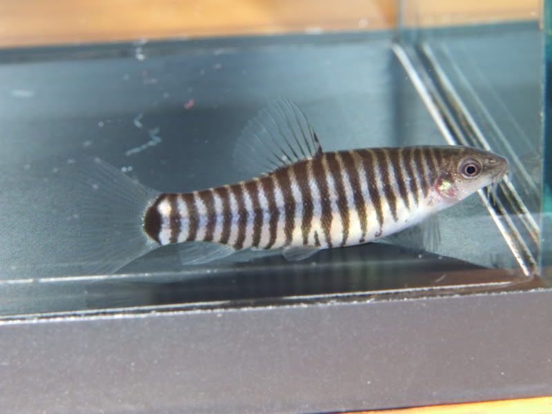 DSCF4291.jpg