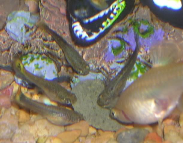 DSCN2490.jpg