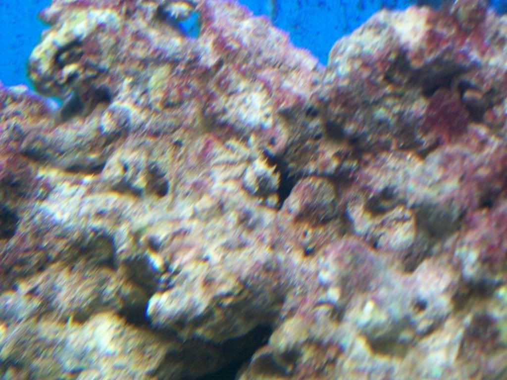 100_0683.jpg