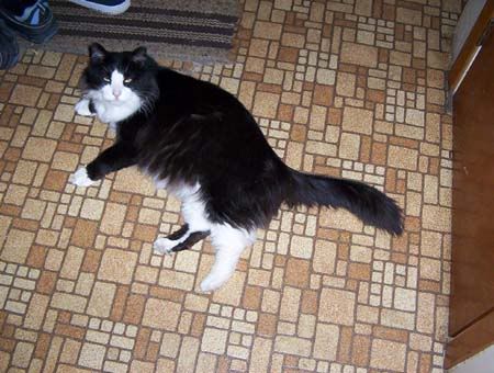 Picture001.jpg