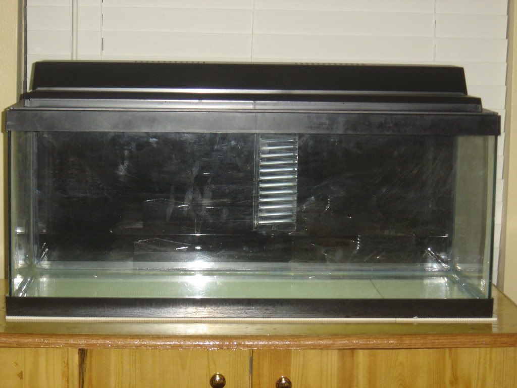 progessof20gallon002.jpg