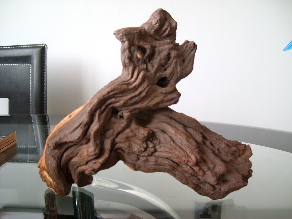 SL730026.jpg