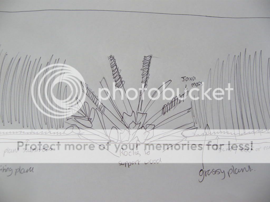 DSCF4530.jpg