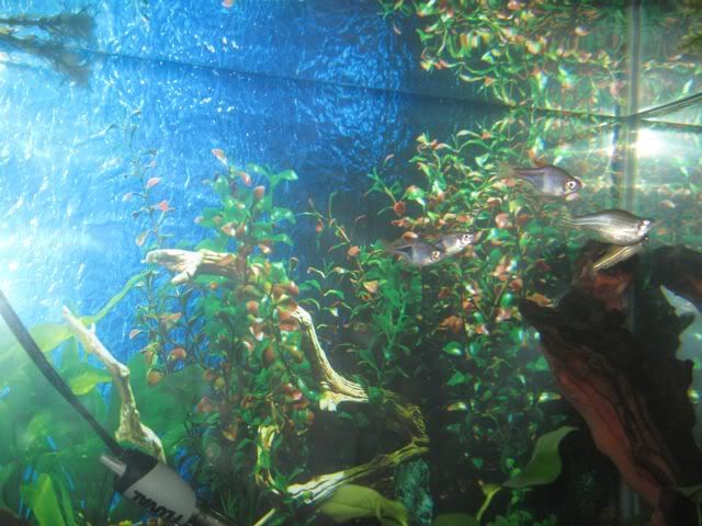 IMG_1314.jpg