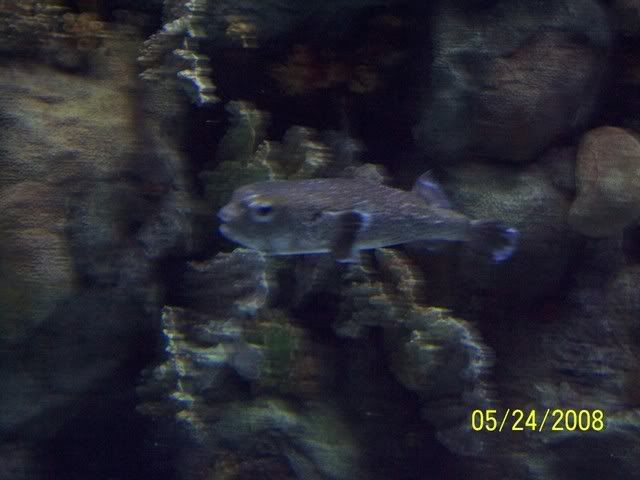 100_3184.jpg