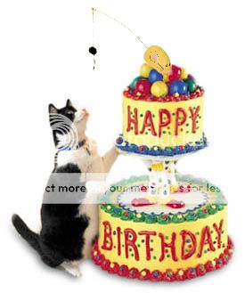 happy_birthday_cat-1544.jpg