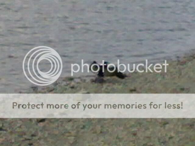 10062007142-003.jpg