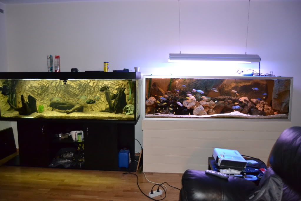 DSC_0058.jpg