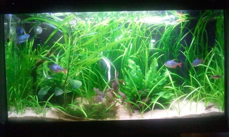 Photo0245.jpg