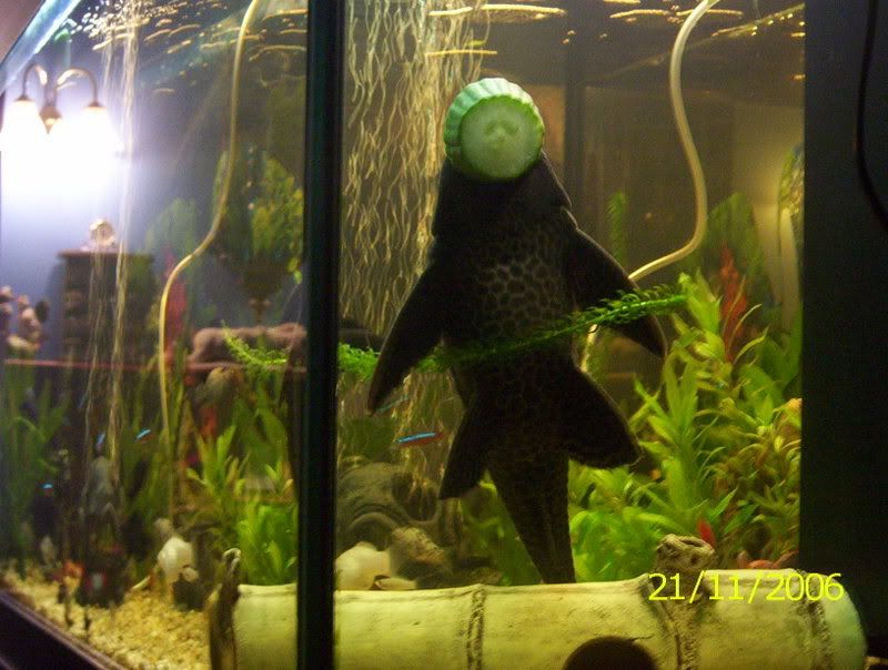 100_0418.jpg
