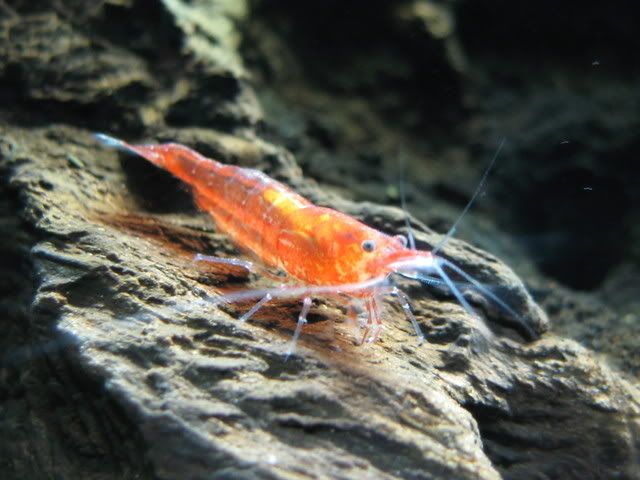 IMG_1888.jpg