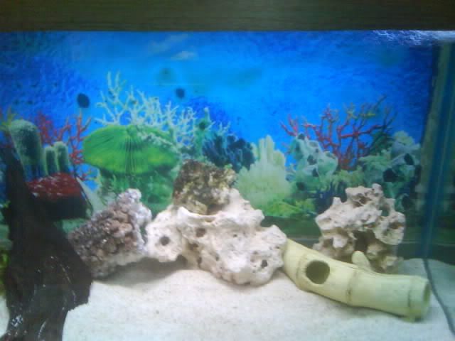 Emptytank.jpg