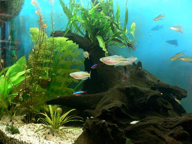 P1070411.jpg