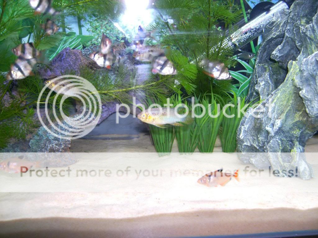 PICT1302.jpg